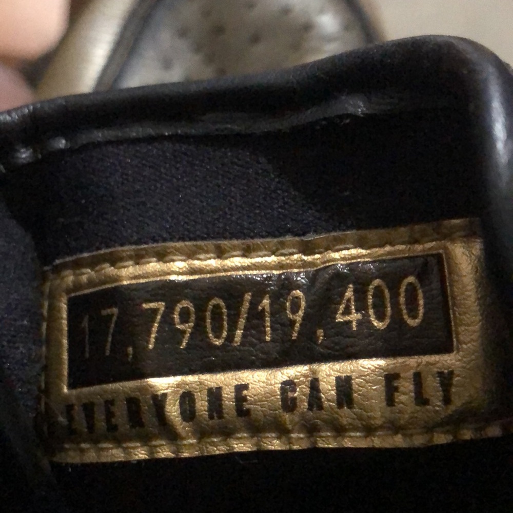 Men's Air Jordan 1 Retro High Wings 17,790/19,400